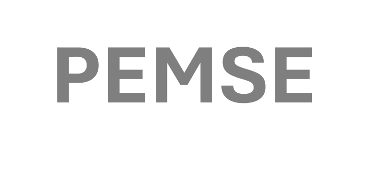 Logo PEMSE
